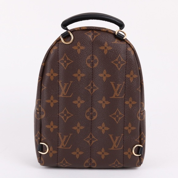 ❌SOLD❌Louis Vuitton Palm Springs Mini - Picture 3 of 9